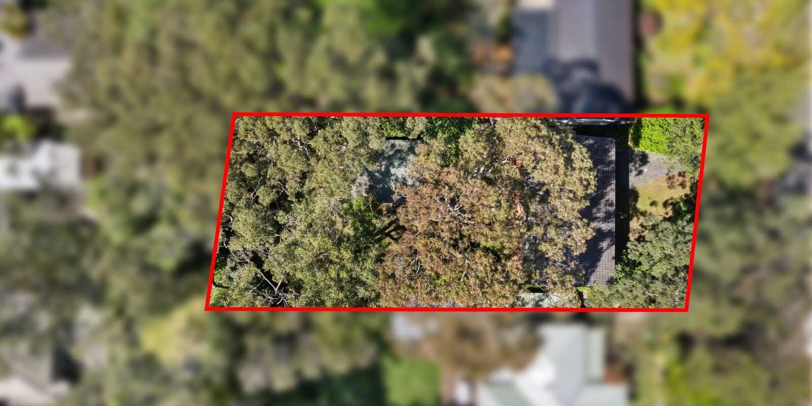 20 Cornelian Road Pearl Beach 20 Cornelian Road Pearl Beach