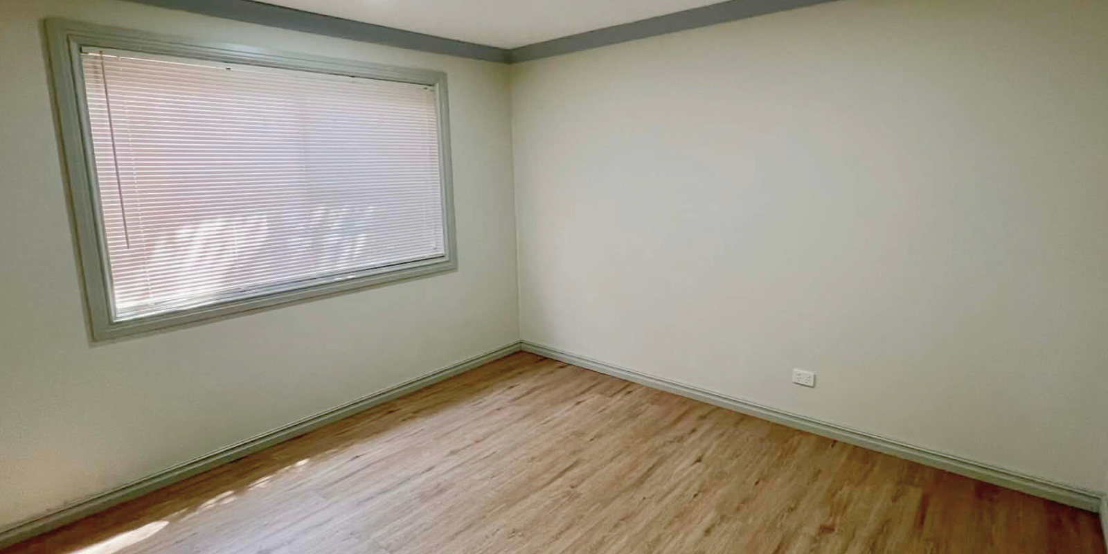 11 Lakala Avenue Springfield